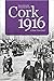 Cork 1916: A Year Examined