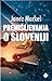 Premišljevanja o Sloveniji