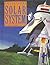 Adventures Beyond the Solar...