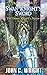 Swan Knight's Sword (The Green Knight's Squire #3; Moth & Cobweb #3)
