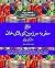 سفر به سرزمین کوبلای خان