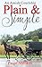 Plain & Simple: An Amish Courtship