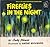 Fireflies in the Night