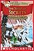 The Ship of Secrets (Geronimo Stilton Book 10)
