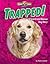 Trapped Underground!: A Search and Rescue Dog Story