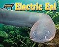 Electric Eel