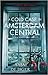 A Cold Case in Amsterdam Central (Lotte Meerman #2)
