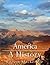 America: A History
