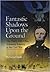 Fantastic Shadows Upon the Ground: The Thirty-Fifth Ohio Volunteer Infantry in the Civil War