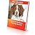 American Brittany Training Secrets by Mark Mendoza