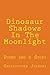 Dinosaur Shadows In The Moonlight by Christopher  Josephs