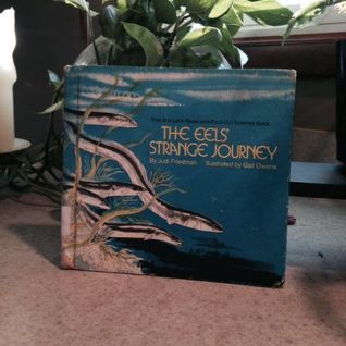The Eel's Strange Journey (A Let's -Read-&-Find Out Science Book)