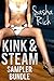 Sasha Rich's Kink & Steam Sampler Bundle: A BDSM Erotica Story Bundle