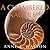 A Chambered Nautilus