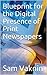 Digital Presence of Print Newspapers - a Blueprint