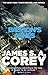 Babylon's Ashes (The Expanse, #6)