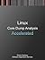 Accelerated Linux Core Dump Analysis: Training Course Transcript with GDB Practice Exercises (Pattern-Oriented Software Diagnostics, Forensics, Prognostics, Root Cause Analysis, Debugging Courses)