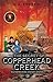 THE SECRET OF COPPERHEAD CREEK: CULVERTON KIDS MYSTERY STORIES 3