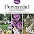 Perennial Dream Gardens: Create Gorgeous Gardens with Easy-Care Perennials