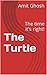 The Turtle: The time it’s right!