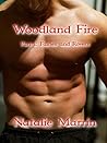 Woodland Fire (Fairies and Rovers, #1)
