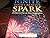 Ignite Your Creative Spark by Jordan Ayan