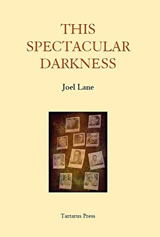 This Spectacular Darkness: Critical Essays (Kindle Edition)