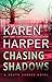 Chasing Shadows (South Shores Book 1)