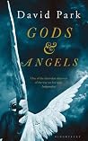 Gods & Angels by David Park