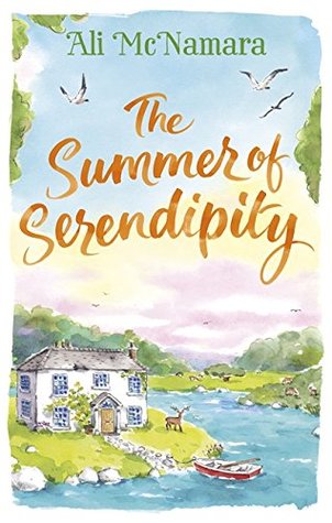 The Summer of Serendipity (Paperback)