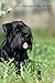 Giant Schnauzer May Noteboo...
