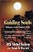 Guiding Souls dialogues on the purpose of life [Hardcover] [Jan 01, 2015] A P J Abdul Kalam