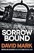 Sorrow Bound (DS McAvoy #3)
