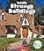 Totally Strange Buildings (Rookie Amazing America)