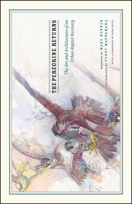 The Peregrine Returns: The Art and Architecture of an Urban Raptor Recovery (Hardcover)