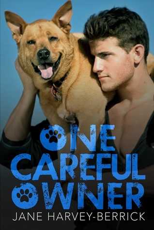 One Careful Owner (ebook)