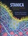 Stanica by Geoffrey M. Cooper Stanica by Geoffrey M. Cooper