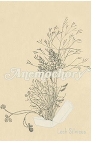 Anemochory (chapbook)
