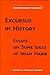 Excursus in History: Essays on Some Ideas of Irfan Habib (Modern Indian Thinkers)