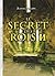 Le secret des rois: Quand une chasse au Trésor et l'Histoire bouleversent les Pouvoirs actuels... (French Edition)