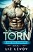 Torn: A Bad Boy Romance, Book 1