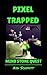 Pixel Trapped: Mind Stone Quest (The Ultimate Portal Series: An Unofficial Minecraft Series Book 7)