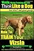 Vizsla, Vizsla Training AAA AKC: Think Like a Dog, but Don’t Eat Your Poop! | Vizsla Breed Expert Training |: Here’s EXACTLY How to Train Your Vizsla