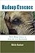 Hadoop Essence: The Beginne...