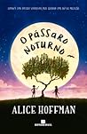 O Pássaro Noturno by Alice Hoffman