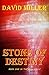 Stone of Destiny (The Irish Cycle #1)