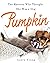 Pumpkin: The Raccoon Who Th...