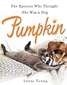 Pumpkin by Laura Young