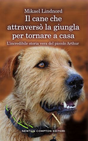 Il cane che attraverso la giungla per tornare a casa