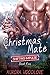 Christmas Mate (Shifting Impulse, #5)